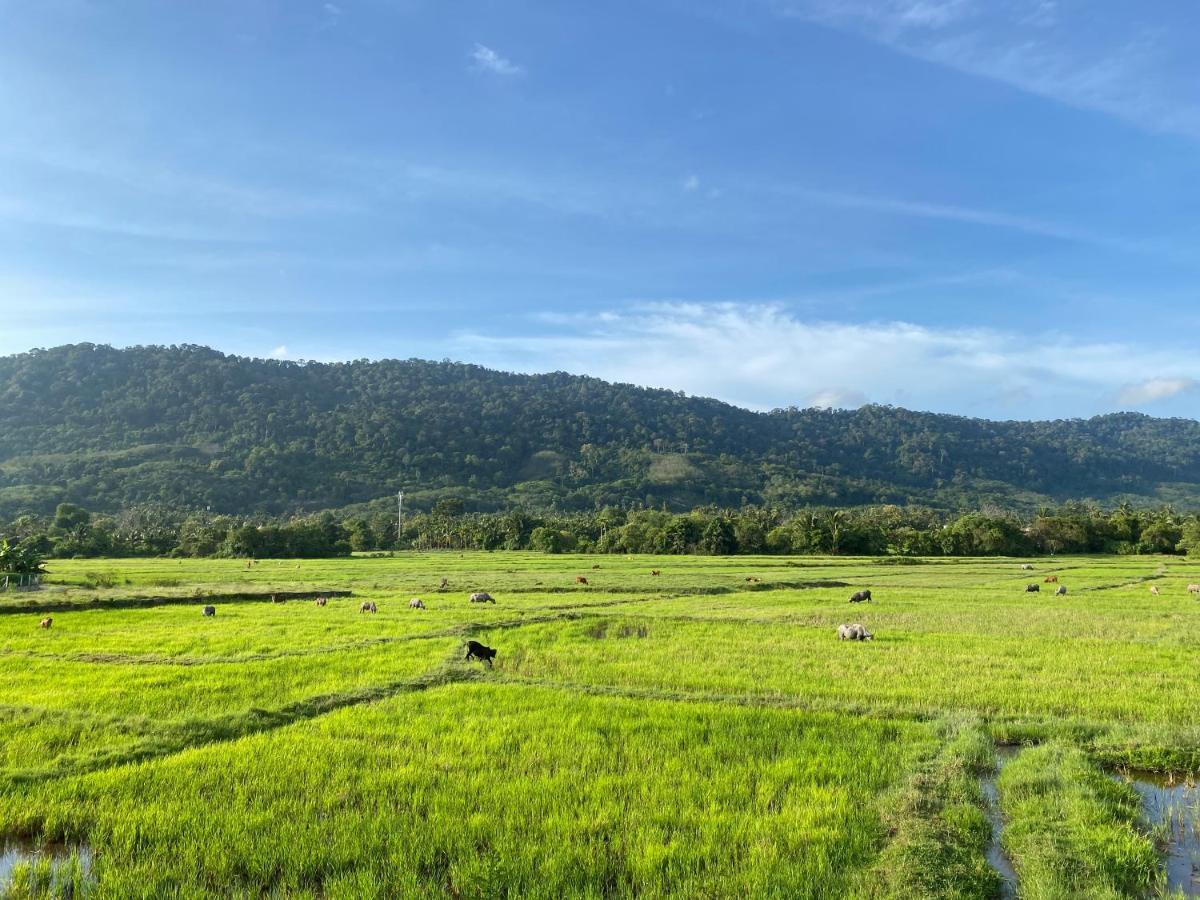 Lamanleman Langkawi Пантай Ченанг Екстериор снимка